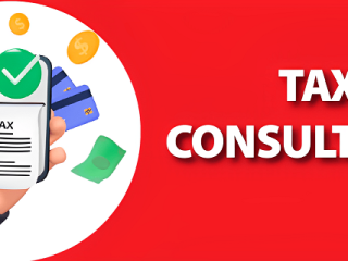 Tax Consultancy